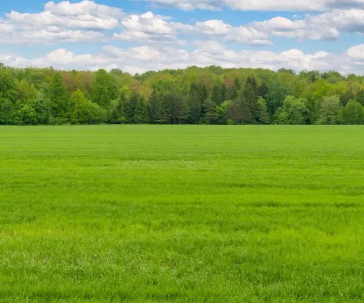 Ile kosztuje metr działki rolnej? Sprawdź ceny w różnych regionach