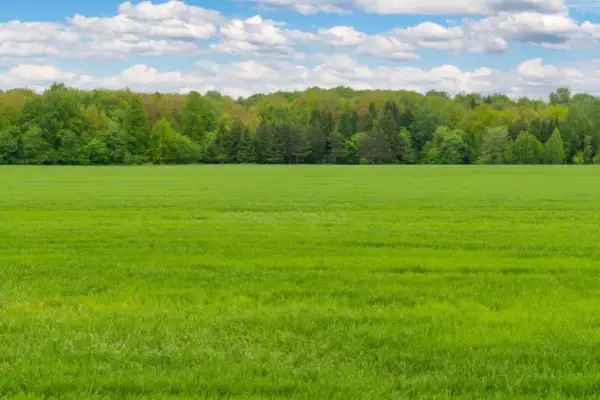 Ile kosztuje metr działki rolnej? Sprawdź ceny w różnych regionach